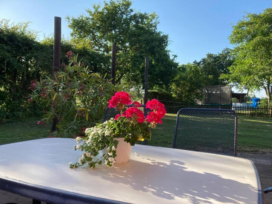 Helle Wohnung Mit Wintergarten - Nahe Ruhrgebiet Und Freizeitpark Movie Park Bottrop Dış mekan fotoğraf